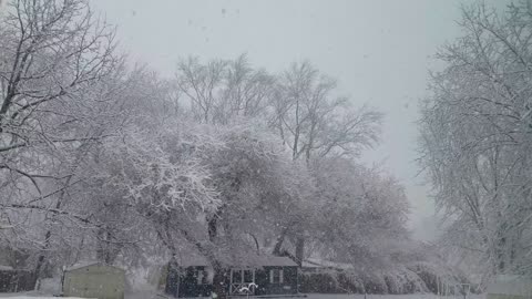 Snowing in Maryland