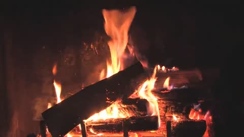 The Best Fireplace Video (3 hours)