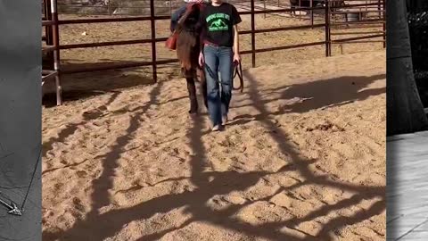 Howdy! We're Enjoying The Cowboy Church! | Keto Mom Vlog