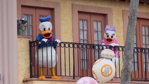 Donald and Daisy Duck Today at Disney Hollywood Studios #shorts