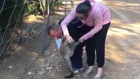 Sharon's 'Roo Rescue