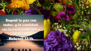 SEGUID LA PAZ CON TODOS Y LA SANTIDAD SIN....