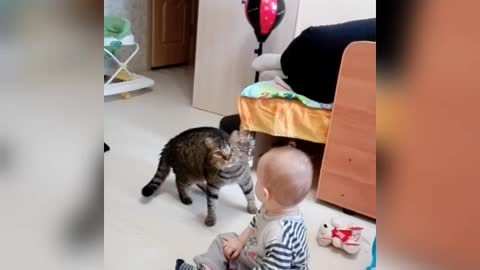 Baby.Cat and bubbles