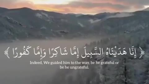 Quran | Al-insan aya 3
