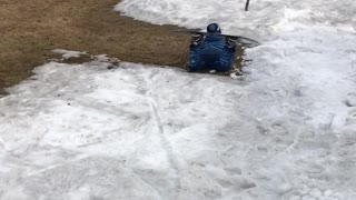 Little boy snowboards down small slope and falls on knees