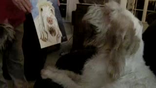Dog's priceless reaction to seeing a portrait of himself