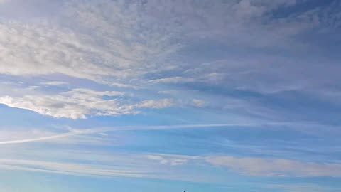 Chemical Halo over Nova Scotia