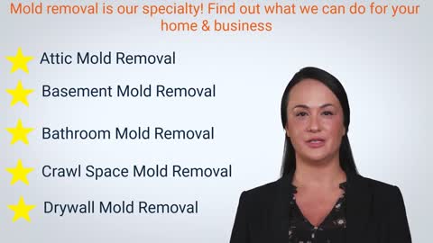 ALL US Mold Removal in Frisco TX : Affordable, Reliable and Expert