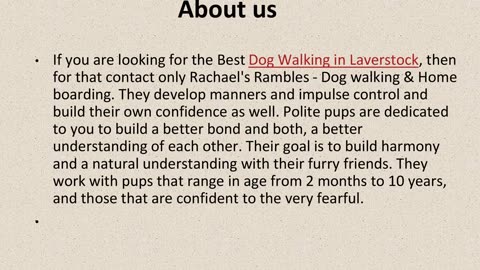 One Of The Best Dog Walking in Laverstock.