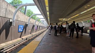 ROXBURY CROSSING🟠Watch Live Trains At a Boston Subway Station