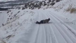 Skier skis down hill, skis fly off feet and he lands on his back