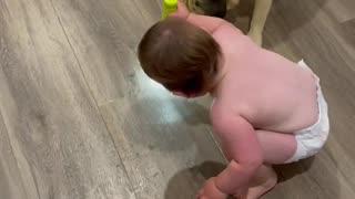 Adorable Baby and Dog Chase Light Beam: Pure Joy Unleashed!