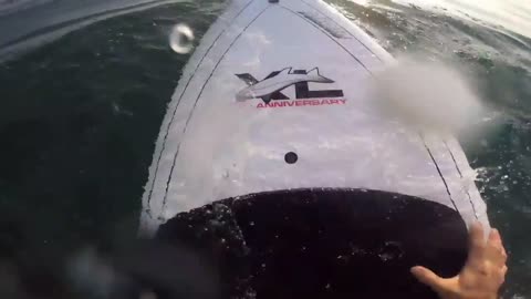 Shark attack man on surfboard