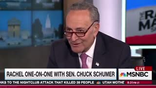 Remember When Chuck Schumer Predicted Trump Would Be Targeted? (VIDEO)