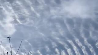 Chemtrail Haarp Scalar Waves