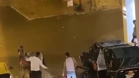 Caballos cocheros padecieron por las lluvias en Cartagena