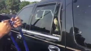 Police officer save dog