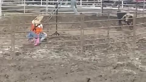 Teeter Totter Teases Rodeo Bull