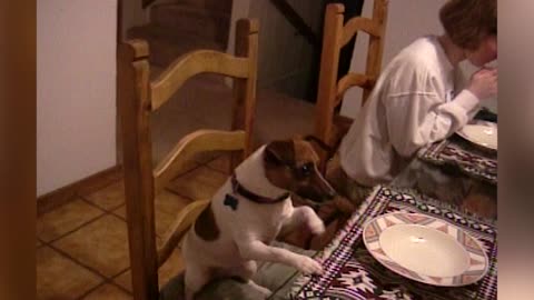 Family And Dog Join Together For Mealtime Prayer