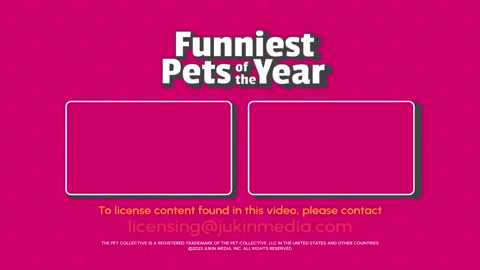 The funniest pet videos 2023