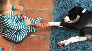 Baby and puppy play game of tug-of-war