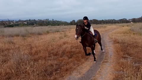 Oliver and Carrera