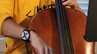 The Swan Solo on Cello