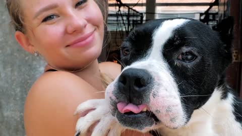 female volunteer holds on hands dog in shelter. Shelter for animals concept
