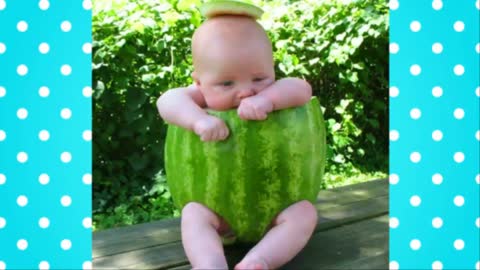 baby funny videos cute cute