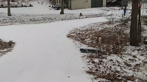 Sled Run at the Hopkins'