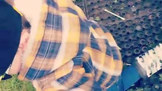Collab copyright protection - yellow plaid boy pushed off swings