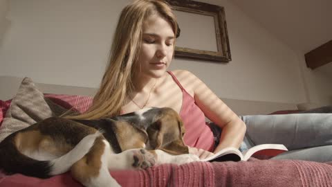 Girl reading with Beagle dog #Shorts