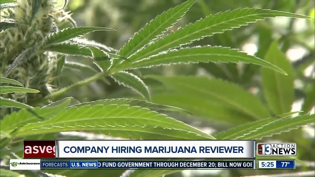 Company will pay person $3K per month to review marijuana