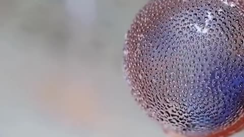 Satisfying Video with Popsicles