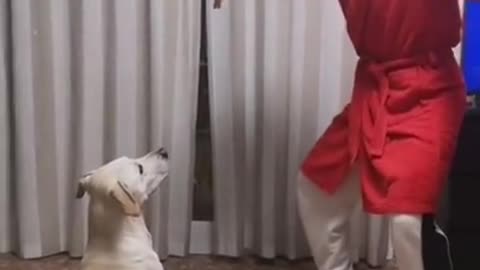 Kulikitaka challenge | Funny dog reaction
