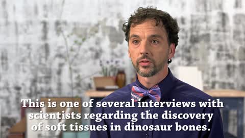 Dinosaur Soft Tissue: Proof that Evolution is a Lie--NOT ENOUGH TIME
