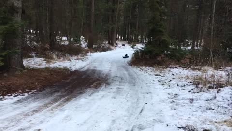 Playful Dog Sleds down Driveway