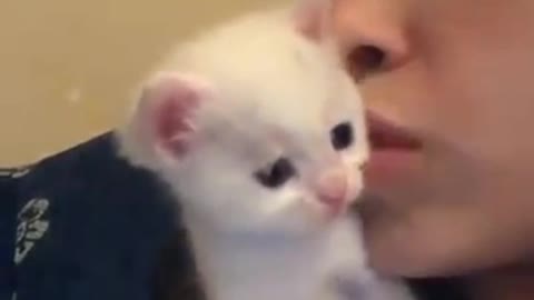 Tiny kitten kisses back 😍😘😍