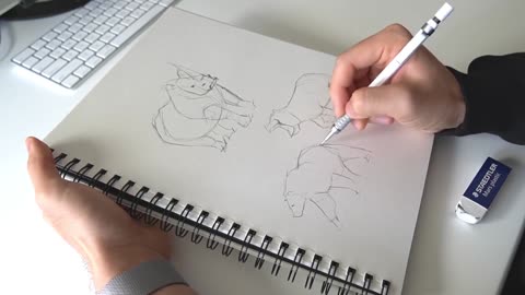 Draw An Outline Of A Small Animal