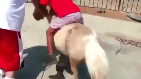 A little pony