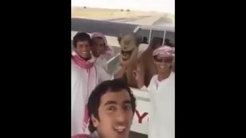 Arabs funny incidents caught on camera