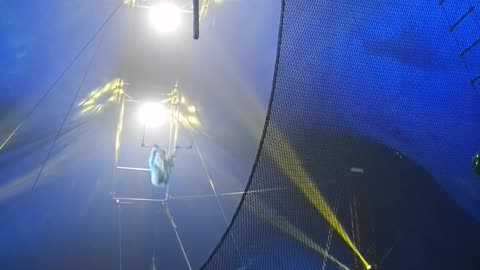 Trapeze Artist Falls Into Crowd