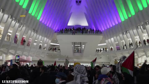 Palestine Supporters rush and take over the World Trade Center Oculus.