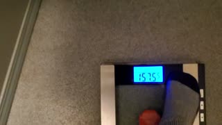 Weigh-In Feb 19, 2024