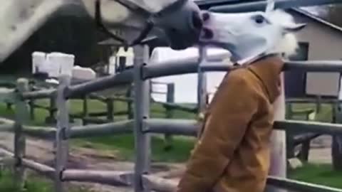 Wonderful horse prank funy tiktok viral video