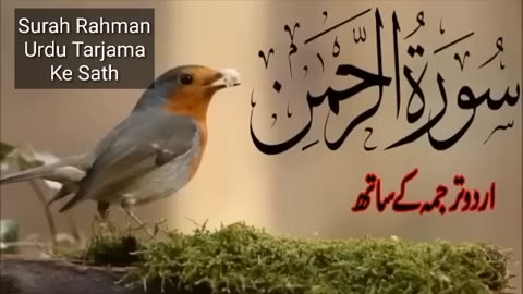 Surah Rahman Urdu Tarjuma k Sath-Qari Al Sheikh Abdul Basit Abdul Samad(360p).mp4