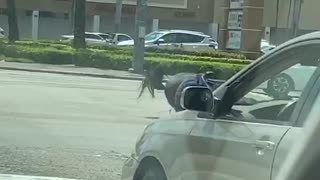 Officer and Horse Take a Tumble at Intersection