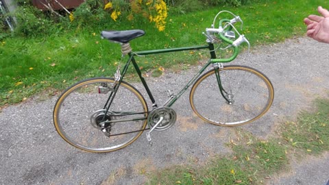 Buying a vintage Schwinn