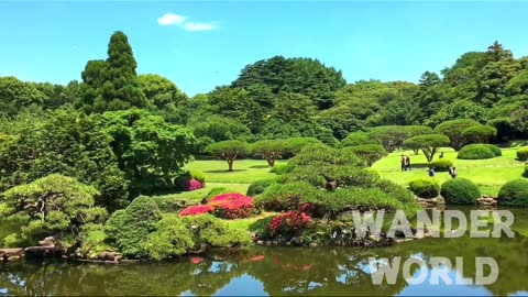 Places To Visit In Japan| A Traveling Tour Guide| Highlights Of The Main Attractions In Tokyo Japan