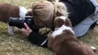 Rowdy puppies make woman's photography session difficult